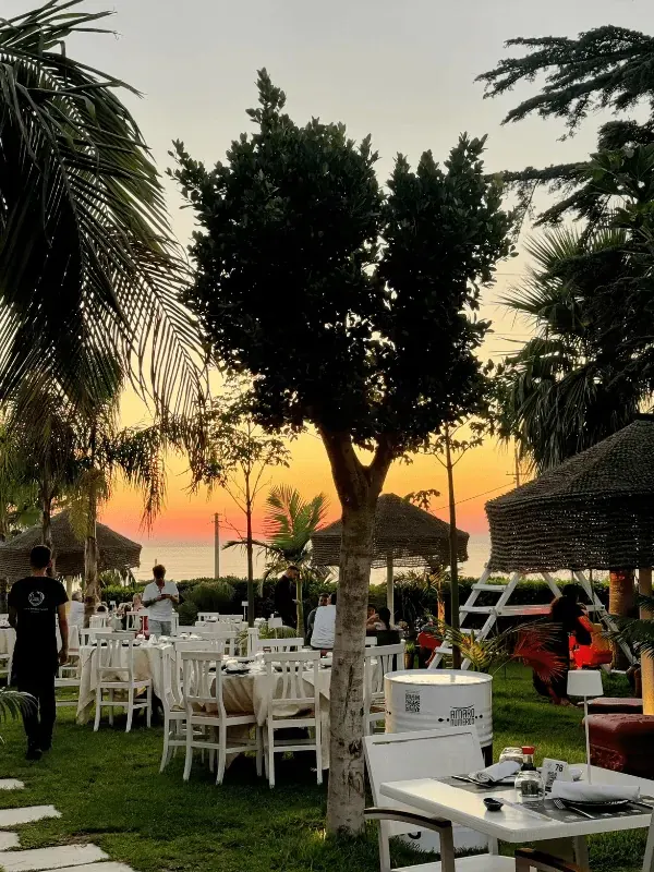 Garten bei Sonnenuntergang im Live Capo Vaticano